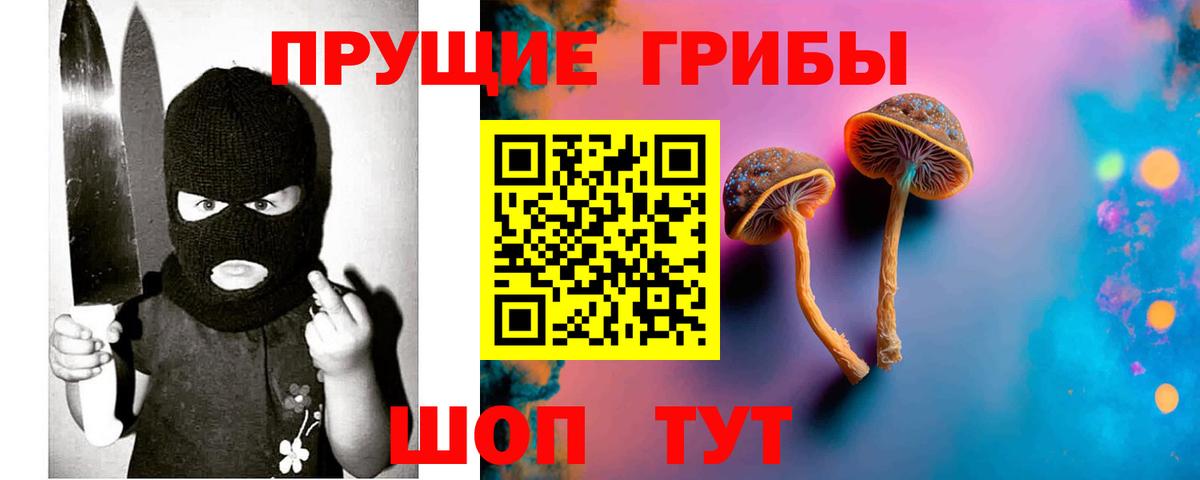 Галлюциногенные грибы Psilocybine cubensis  Вход с VPN  Мценск 